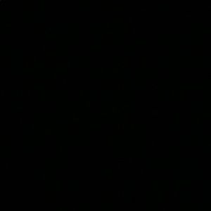 Meet your Posher, Rylee